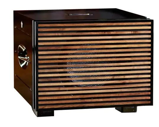 REL Carbon Special Black Label Subwoofer